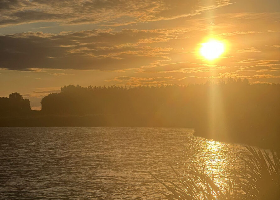 aaa