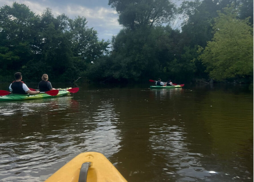 aaaa