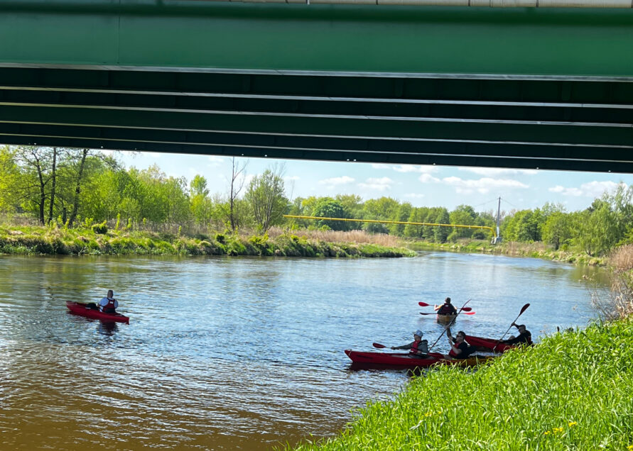 image10